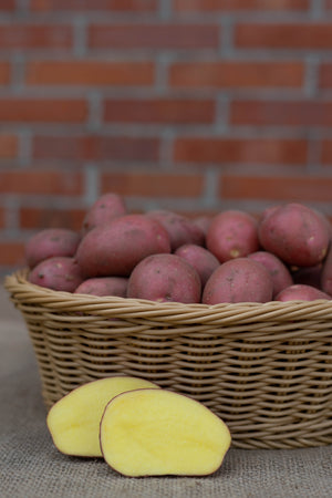 Vorwiegend festkochende Kartoffeln