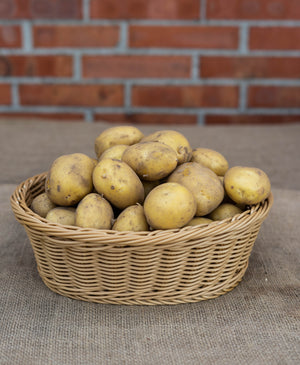 Festkochende Kartoffeln