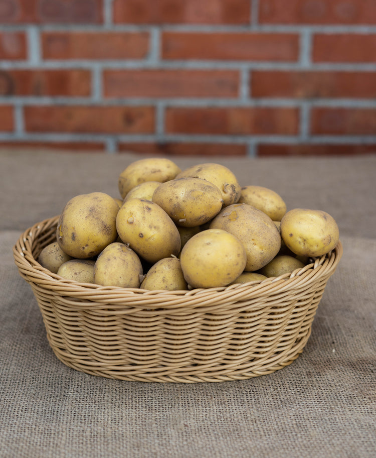 Festkochende Kartoffeln