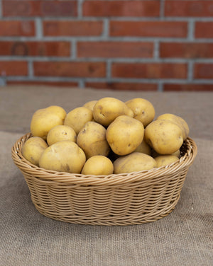 Mehlige Kartoffeln